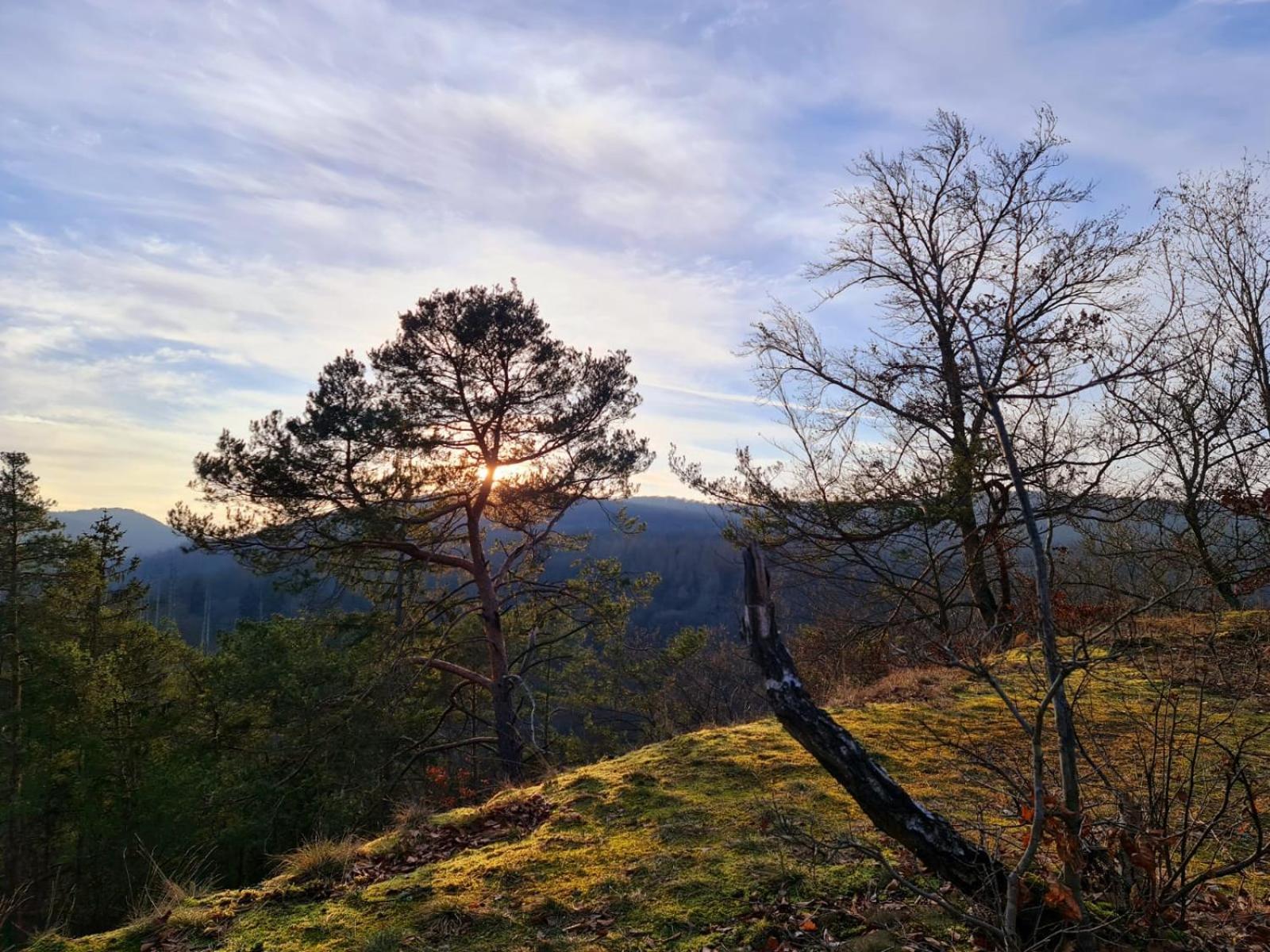 Ferienhaus Schoene Aussicht Ferienwohnung Gelb Hemfurth-Edersee Exteriér fotografie